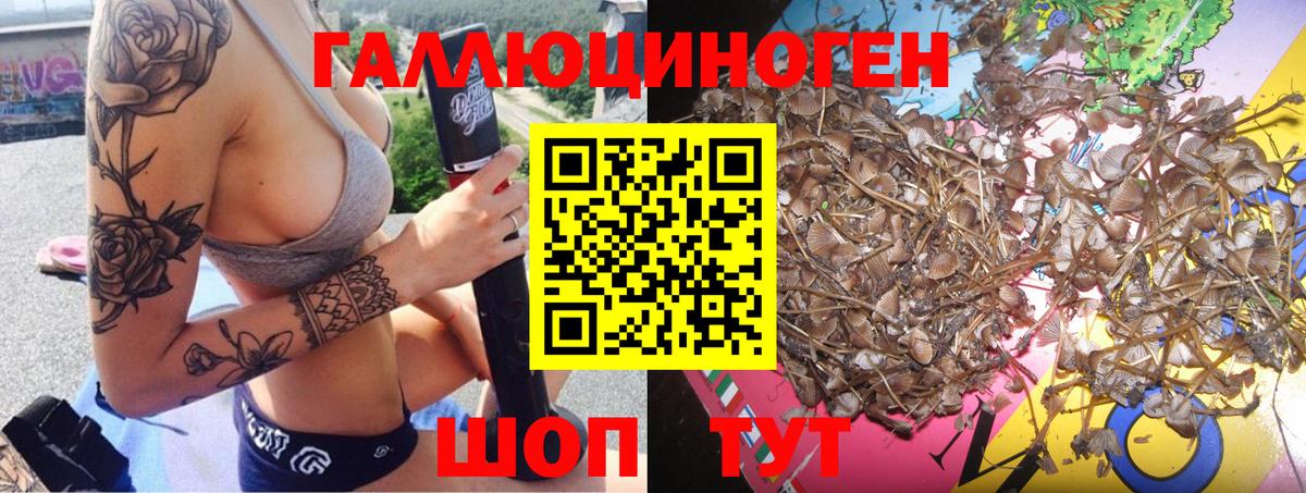 Галлюциногенные грибы мицелий Бирск